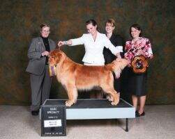 CH Masters Teko Best Of The West