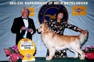 CH. ESPERANTO JP WILD BETELGEUSE