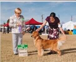 Shilo's Nu Year's Celebration