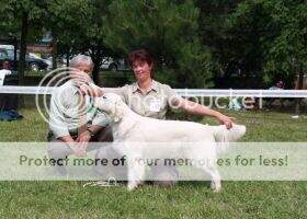 CZ SK CZ SK Funny Girl The Dream Team (National Winner) CZ SK CZ SK Funny Girl The Dream Team (National Winner)