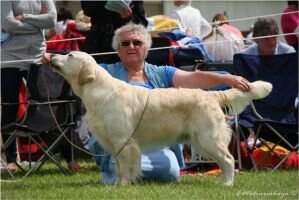 Gunmarsh Raffles at Branjoy