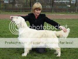 Gladys Evidog Gladys Evidog