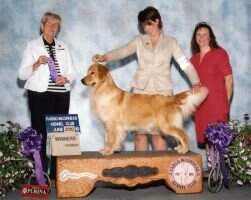 Maple's One Red Hot Attitude CCA CGCA