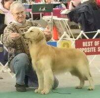 Golden Clover's Aragorn, King of the Realm