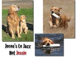 Jecon's Le Jazz Hot Jessie