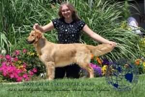 Int'l/Nat'l/UKC CH Golden Days Smashbox Photo Finish TDInc
