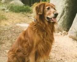 Trailblazer's Major Max