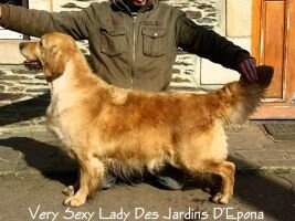 Very Sexy Lady des Jardins d'Epona