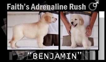 Faith's Adrenaline Rush