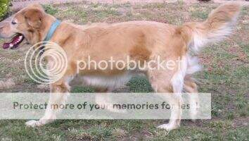 Shania Toney Shania Toney