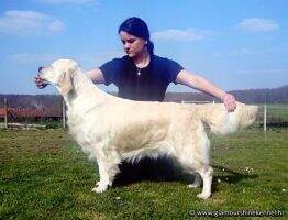CH.CRO. JCH.CRO. VET.CH.CRO. Glamour Shine Be My Valentine JBISS Winner, SLO.VCW'17, RS.VCW'18, CRO.VCW'18, R.BISS WINNER CH.CRO. JCH.CRO. VET.CH.CRO. Glamour Shine Be My Valentine JBISS Winner, SLO.VCW'17, RS.VCW'18, CRO.VCW'18, R.BISS WINNER