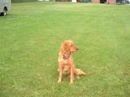 Frisbie Thompson Lulu Frisbie Thompson Lulu