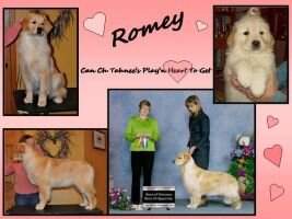 Tahnee's Play'N Heart To Get
