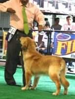 ENDTIME MAYA'S PRIDE