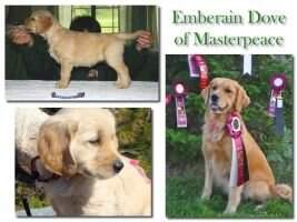 Emberain Dove Of Masterpeace BN GN GO VER RN CDX-C