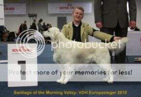 DTS. CH. & VDH CH. Santiago of the Morning Valley ES'10