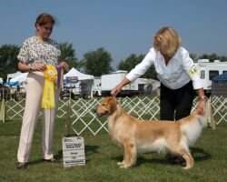 Forest Creek's Rhode To Victory