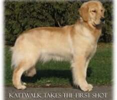 Kattwalk Takes the First Shot