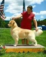 Pennylane Yankee Spare No Xpense To Goldenway Pennylane Yankee Spare No Xpense To Goldenway