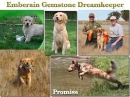Emberain Gemstone Dreamkeeper BN GN PJDP MXF DN PADHF Emberain Gemstone Dreamkeeper BN GN PJDP MXF DN PADHF
