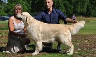 SE U(U)CH+DK CH(U)+Spain CH Endicott Caballero