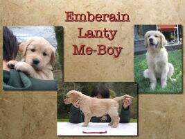 Emberain Lanty Me-Boy