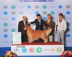 CH (INT CN) Harlan of Hai Run Kennel CH (INT CN) Harlan of Hai Run Kennel