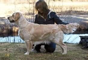 Meiepere Girl On The Wing
