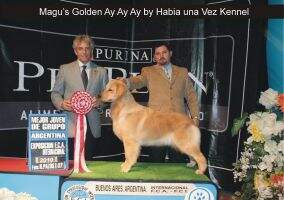 Magu's Golden Ay Ay Ay Magu's Golden Ay Ay Ay