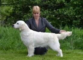 SE VCH SEU(U)CH Abnalls Scarlett
