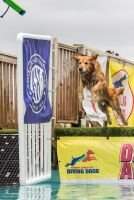 PDCH Mystic Playing To Win MXC MJC MFC TQX T2B2 DS