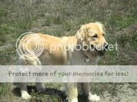 Rockwall Nantucket Breeze BN