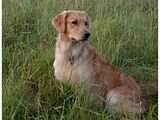 Sunfire Second Wind Mr CCA