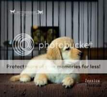 Jessica of sam kennel