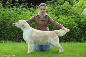 RUS RUS/CZ/BY/AT/PL CH RUS Alikanta iz Doliny Solnca RUS RUS/CZ/BY/AT/PL CH RUS Alikanta iz Doliny Solnca