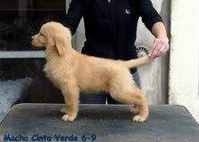 Velours Seduce me with a Tango