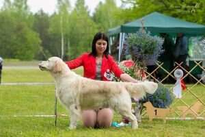 Rus Club RKF Blr Ukr Lv Ch Ukr Riera Number One Rus Club RKF Blr Ukr Lv Ch Ukr Riera Number One