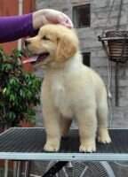 Habia una Vez Chocolatada Sherlock