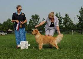 Waynewood's Lucy Lu