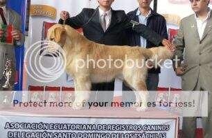 Cach Ec Ferhidal Harry Potter