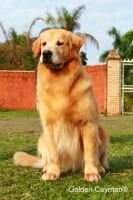 Benntos All You Need is Love