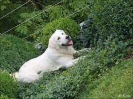 Glamour Shine Beautiful Girl