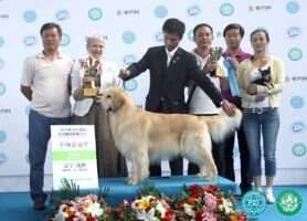 CH.CN Mardo of Hai Run Kennel CH.CN Mardo of Hai Run Kennel
