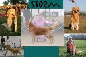 SHR DocMar Watch For Fowl Weather SCN SIN CCA