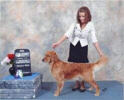 Pacificgold's Rachel Alexander PCD