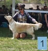 C.I.B. C.I.E. Ch vJEW'10 vEW'14 Hanna's Golden Princess Agile Amelie
