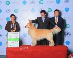 MUTI-BISS INT/CN/PRC/CKC CH A.C. Dynasty QQ's Starbucks