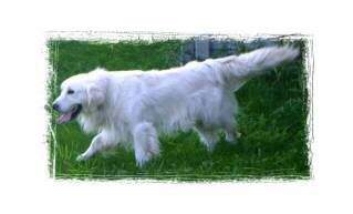 Mystic Views Love For Jrs Apollo