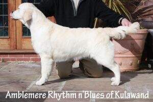 Amblemere Rhythm N'blues Of Kulawand
