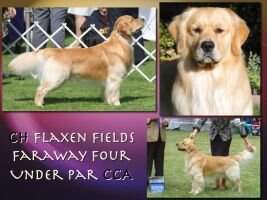 Flaxen Fields Faraway Four Under Par CCA